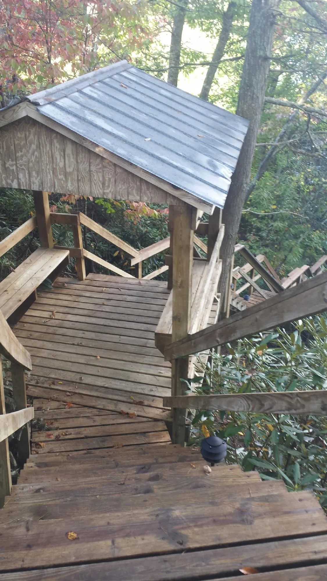 Metal roofed shelter over wooden steps on a wooded walkway — Skylight Repair & Installation work by our crew in Romulus